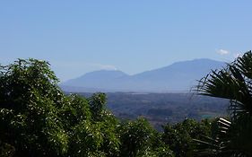 El Paraiso Verde